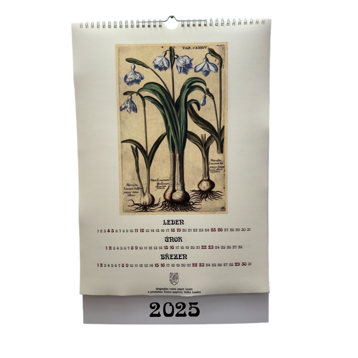 Vintage flowers