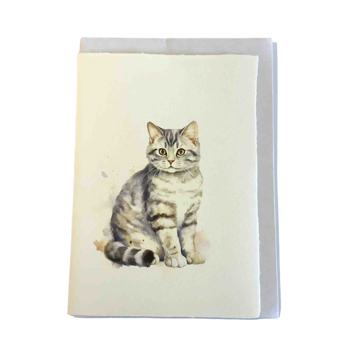 Přání 8