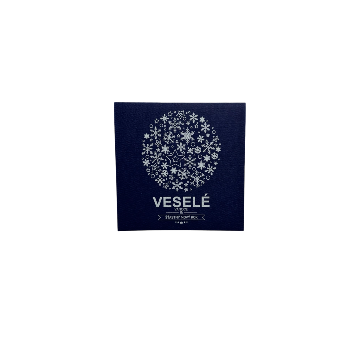 PF 2025 - N12