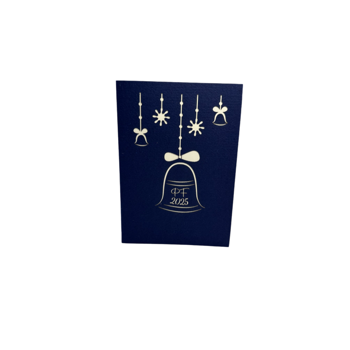 PF 2025 - N17