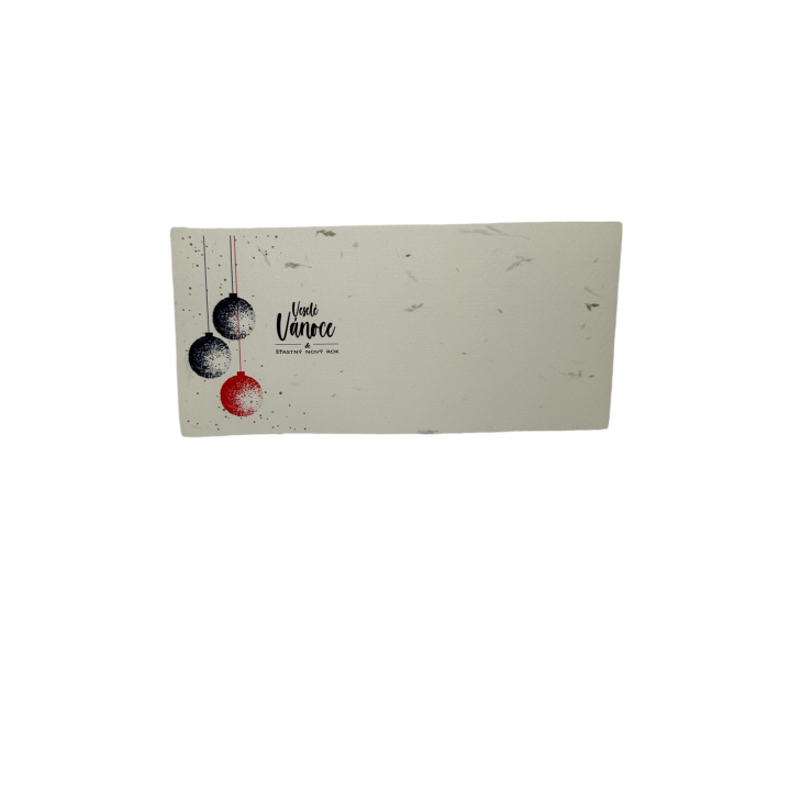 PF 2025 - N21